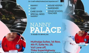 Read more about the article Nanny Palace Location and Contacts